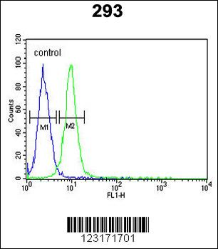 RPL18A Antibody (C-term)