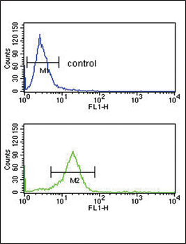 OPRM1 Antibody (Center)