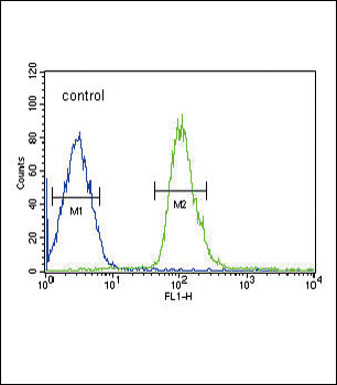 DUSP2 Antibody (C-term)