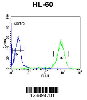 DLK2 Antibody (C-term)