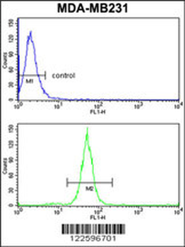 TGOLN2 Antibody (C-term)