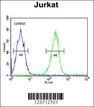DTX1 Antibody (Center)