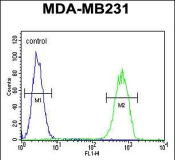 GPA33 Antibody (C-term)