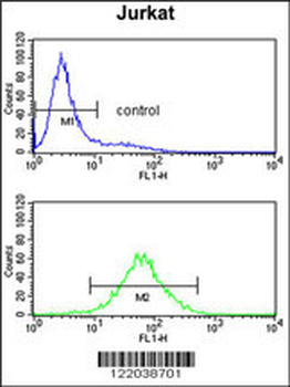 CCR3 Antibody (Center)