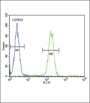 SCNN1A Antibody (Center)