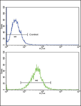 IL18RAP Antibody (N-term)