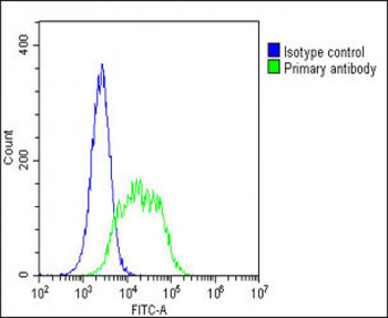 BMI1 Antibody