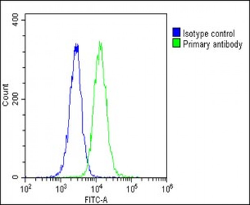 HSPA7 Antibody (Center)