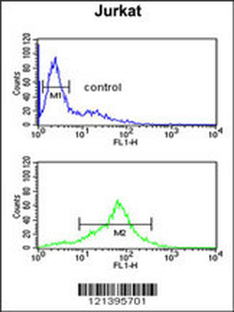 SOD1 Antibody (Center)
