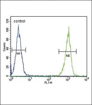 LTF Antibody