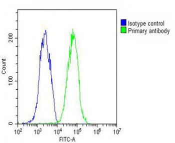 RAB7 Antibody (C-term)