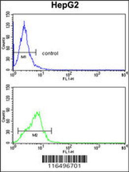 CYP4F3 Antibody (N-term)