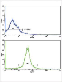 ADIPOR1 Antibody (C-term)