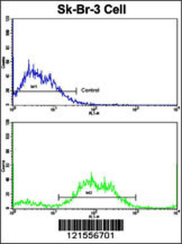 PTAR1 Antibody (Center)