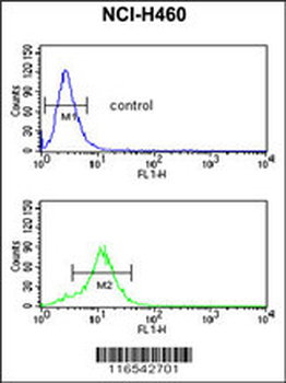 GAPDHS Antibody (Center)