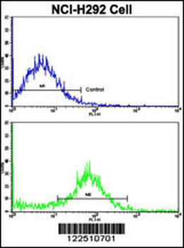 VTI1A Antibody (C-term)