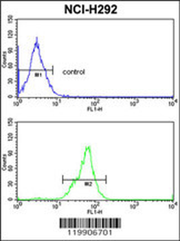 TOB1 Antibody (N-term)