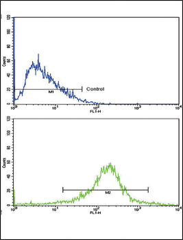 LRPAP1 Antibody (C-term)