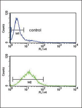TPT1 Antibody (Center)