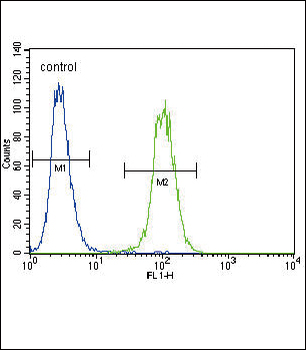 Urokinase (PLAU) Antibody (C-term)