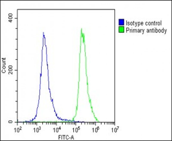 EPS8 Antibody (N-term)
