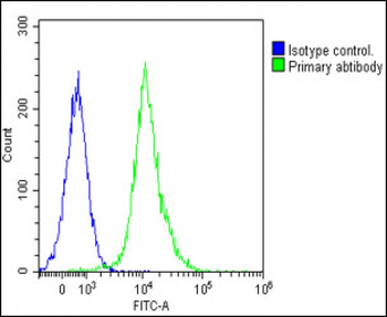 Activin A Receptor Type IB (ACVR1B) Antibody (N-term)