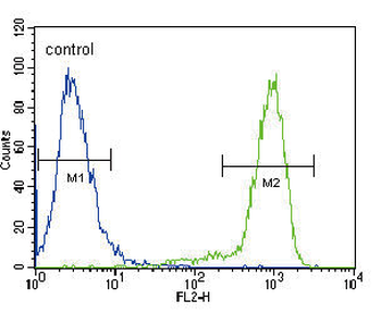TRKA Antibody (Center)