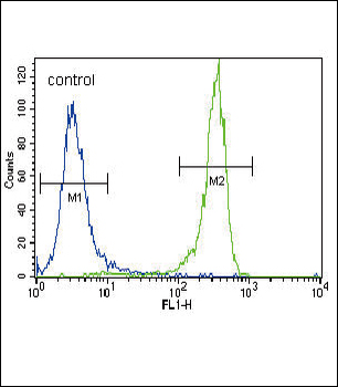 FGFR2 Antibody (N-term R22)