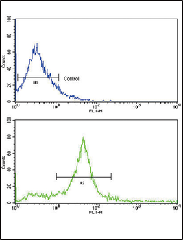 ERBB3 Antibody (N-term)