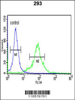 SEPT4 Antibody (N-term)