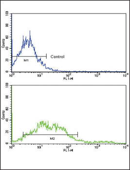 EphA2 Antibody (N-term)