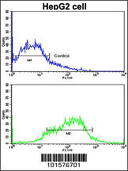 EphA1 Antibody (N-term)