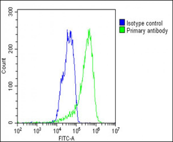 MCSF Receptor (CSF1R) Antibody (C-term)