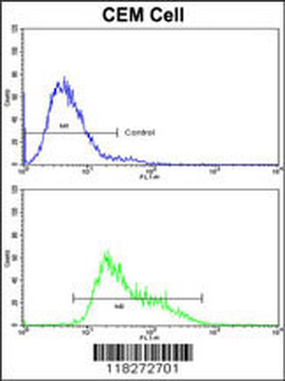 IGHA1 Antibody (C-term)