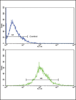 CATB Antibody (Center)