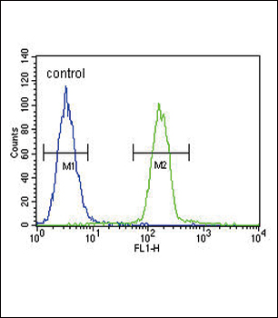 Tyrosinase Antibody (C-term)