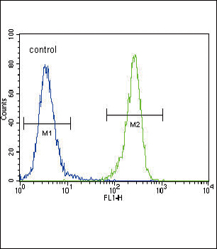 DDR1 Antibody (Center)