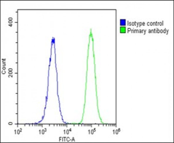 LIF Antibody (Center)