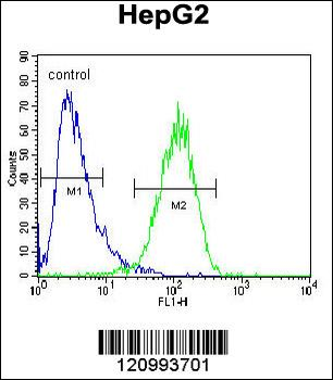 HEXA Antibody (Center)