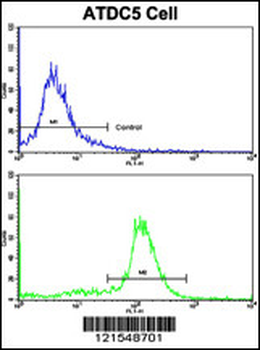 NDUFS4 Antibody (C-term)