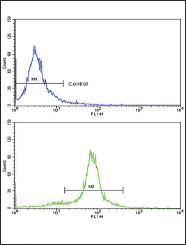 PAX6 Antibody (Center)