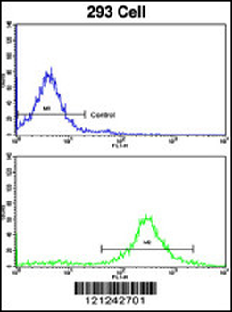MOBP Antibody (N-term)