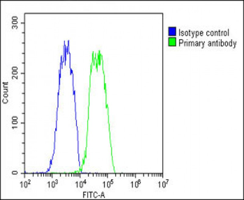 COMP Antibody (Center)