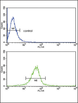 GSTM1 Antibody (C-term)