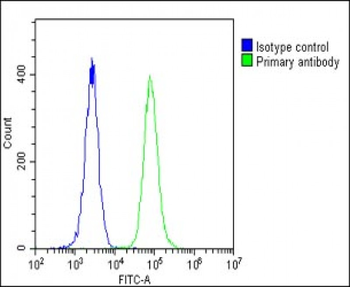 RS18 Antibody (Center)