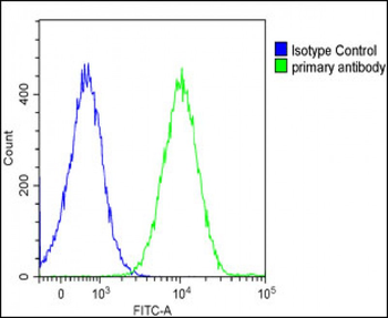 IL1A Antibody (Center)