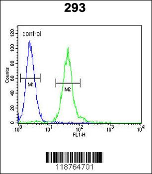 M-CSF Antibody (Center)