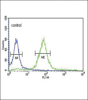 HPRT1 Antibody (C-term)