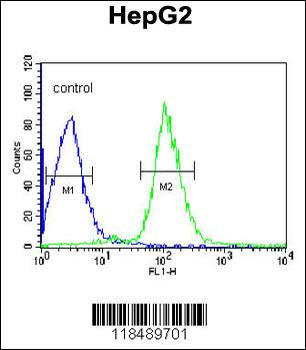 SERPINC1 Antibody (C-term)