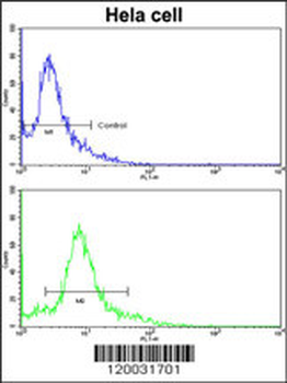 PID/MTA2 Antibody (C-term)